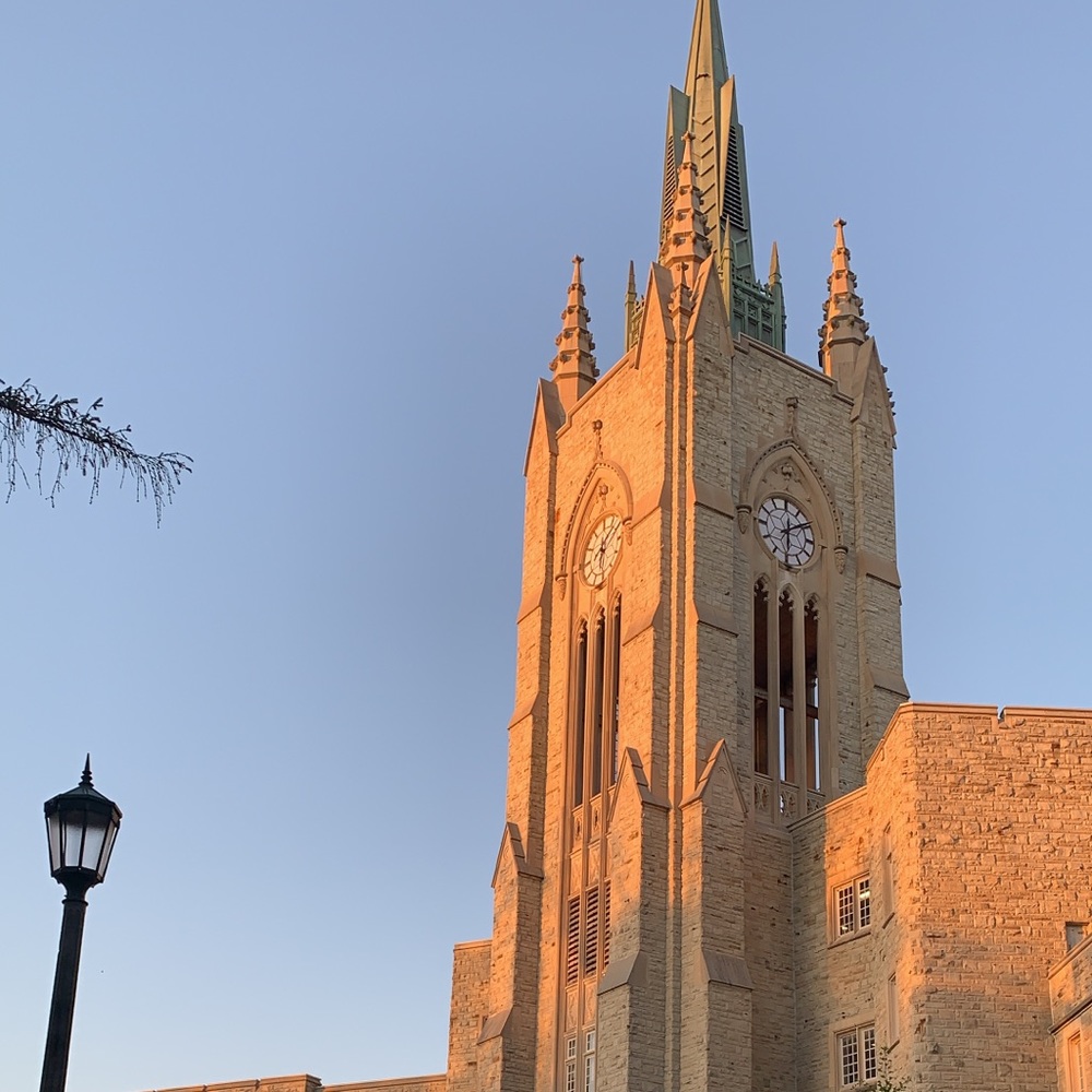 Meet your Posher, Rosie